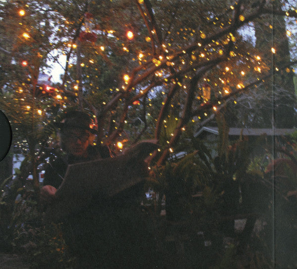 Ry Cooder : Pull Up Some Dust And Sit Down (CD, Album)