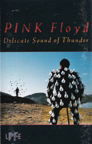 Pink Floyd : Delicate Sound Of Thunder (2xCass, Album)