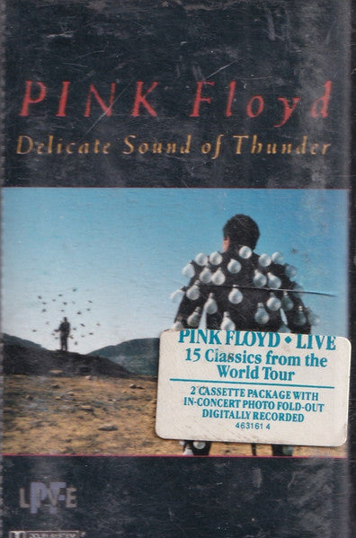 Pink Floyd : Delicate Sound Of Thunder (2xCass, Album)