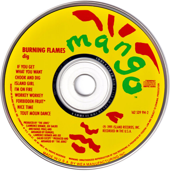 Burning Flames : Dig (CD, Album)