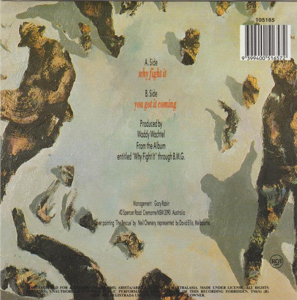 Mondo Rock : Why Fight It (7", Single)