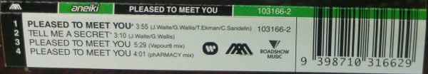 Aneiki : Pleased To Meet You (CD, Single)