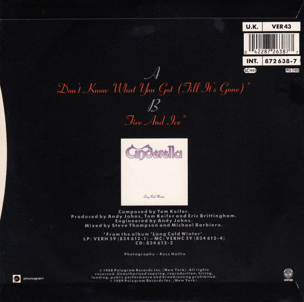 Cinderella (3) : Don't Know What You Got (Till It's Gone) (7", Single, Sil)