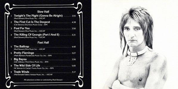 Rod Stewart : A Night On The Town (CD, Album, RE)
