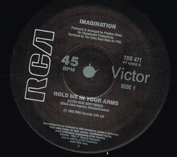 Imagination : Hold Me In Your Arms (12")