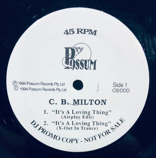 CB Milton / Def Dames Dope : It's A Loving Thing / It's Ok, All Right (12", Promo)