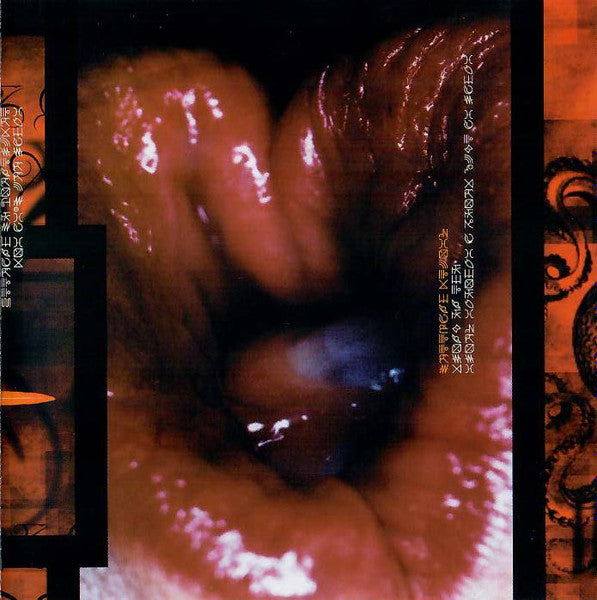 A Perfect Circle : Mer De Noms (CD, Album)