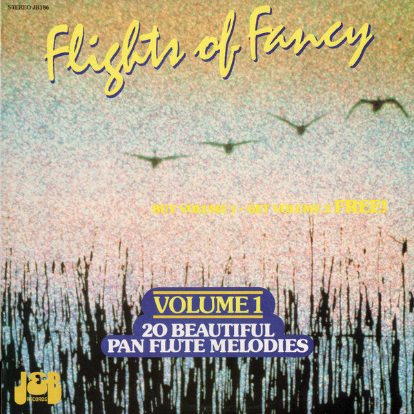Electric Wind Ensemble : Flights Of Fancy Volume 1 (LP)