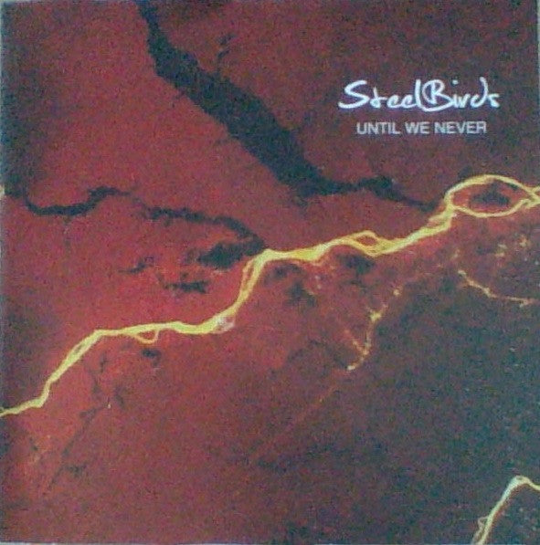 SteelBirds : Until We Never (CD, EP)