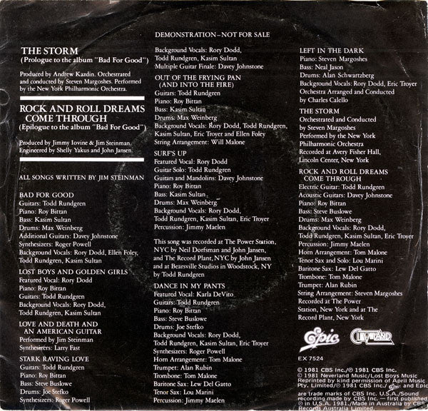 Jim Steinman : The Storm / Rock And Roll Dreams Come Through (7", Single, Promo)