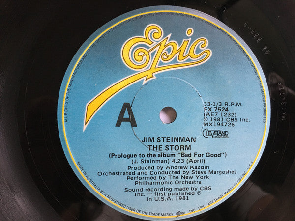 Jim Steinman : The Storm / Rock And Roll Dreams Come Through (7", Single, Promo)
