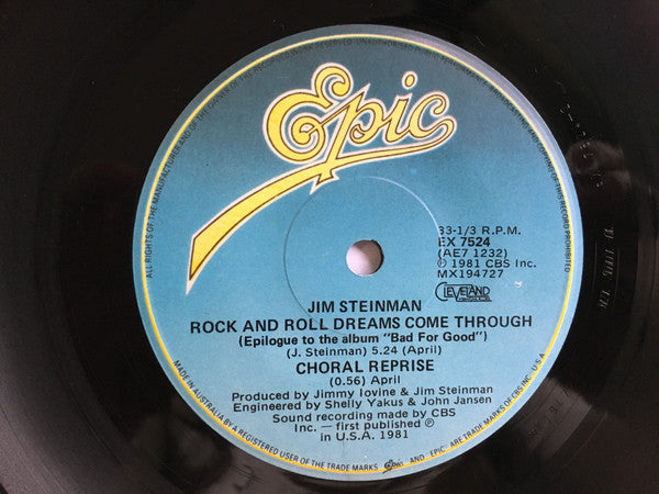 Jim Steinman : The Storm / Rock And Roll Dreams Come Through (7", Single, Promo)