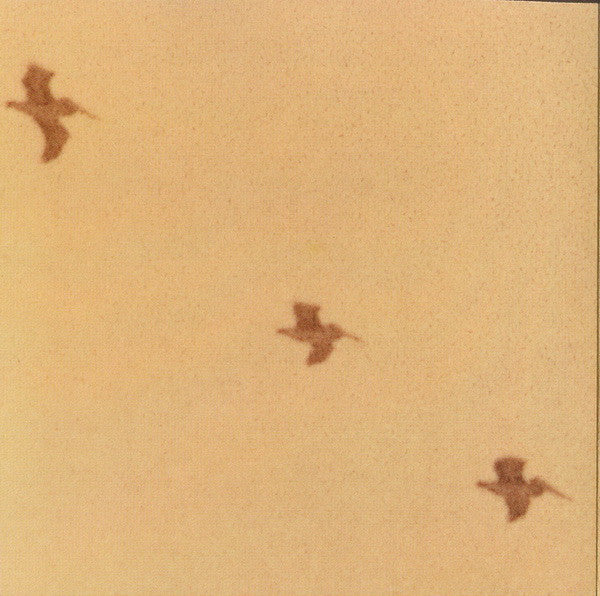 Various : Take Me Home | A Tribute To John Denver (CD, Comp)