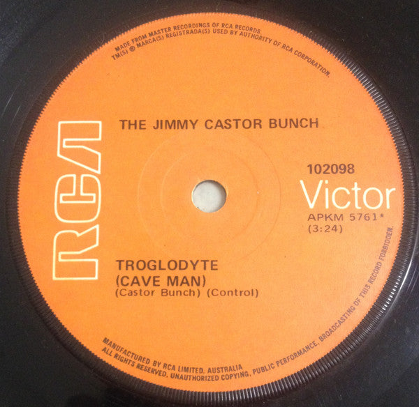 The Jimmy Castor Bunch : Troglodyte (Cave Man) (7", Single)