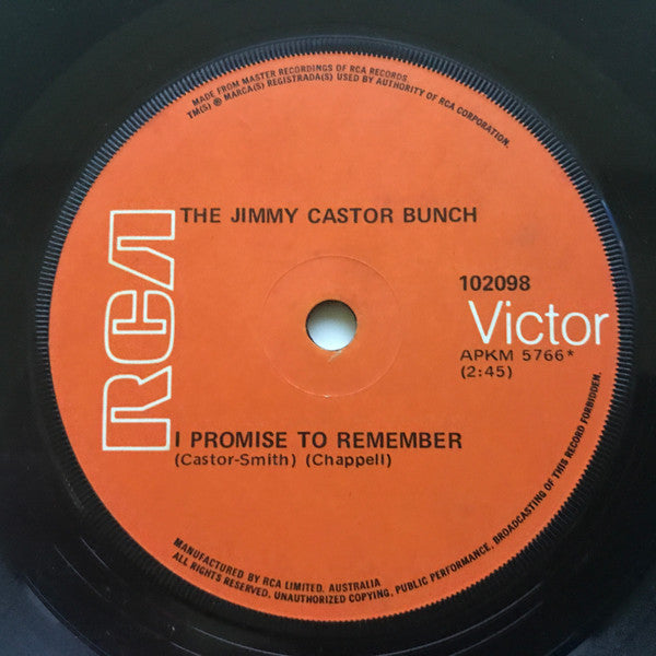 The Jimmy Castor Bunch : Troglodyte (Cave Man) (7", Single)