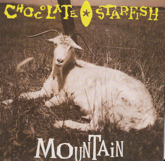 Chocolate Starfish : Mountain (CD, Single)
