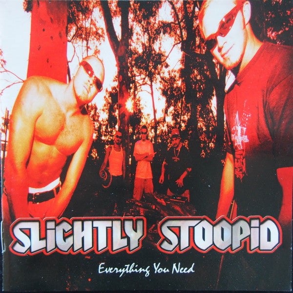 Slightly Stoopid : Everything You Need (CD)