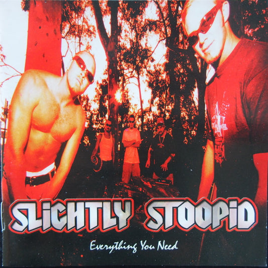 Slightly Stoopid : Everything You Need (CD)