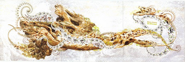 Rena Jones : Driftwood (CD, Album)
