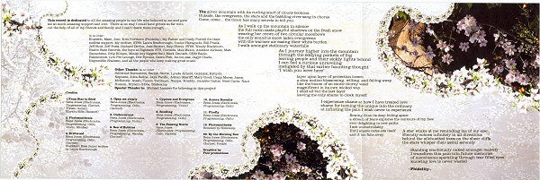 Rena Jones : Driftwood (CD, Album)