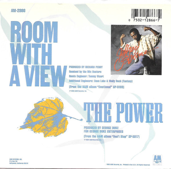 Jeffrey Osborne : Room With A View (7", Single)
