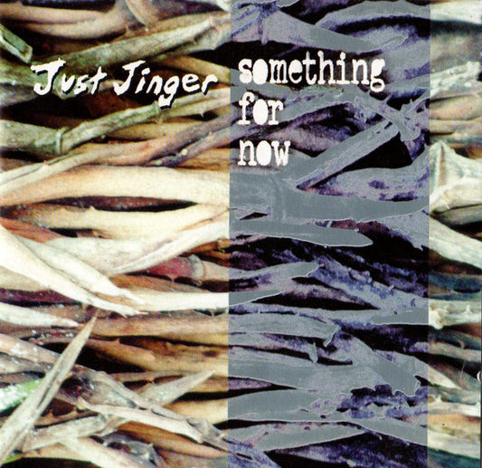 Just Jinger : Something For Now (CD, EP)