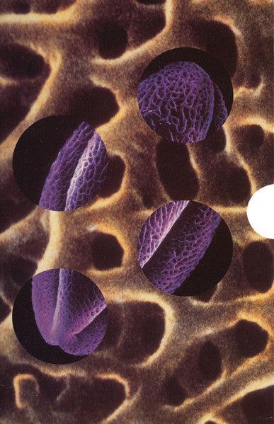 Hoodoo Gurus : Blue Cave + More Electric Soup (CD, Album + VHS, PAL)