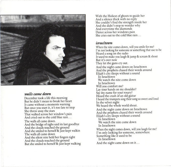 Dugan McNeill : In The Velvet Night (CD, Album)