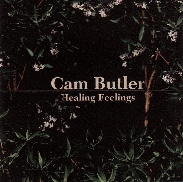 Cam Butler : Healing Feelings (CD, Album)