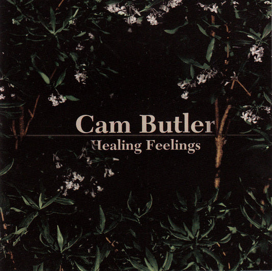 Cam Butler : Healing Feelings (CD, Album)