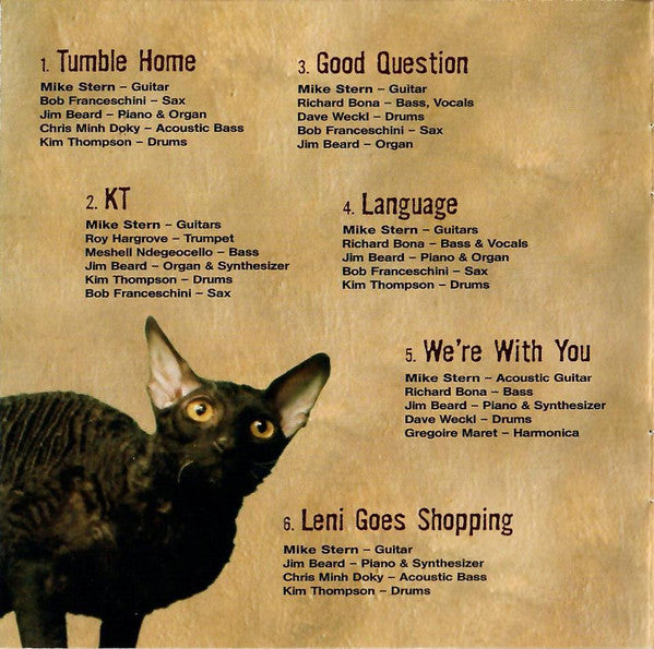 Mike Stern : Who Let The Cats Out? (CD, Album)