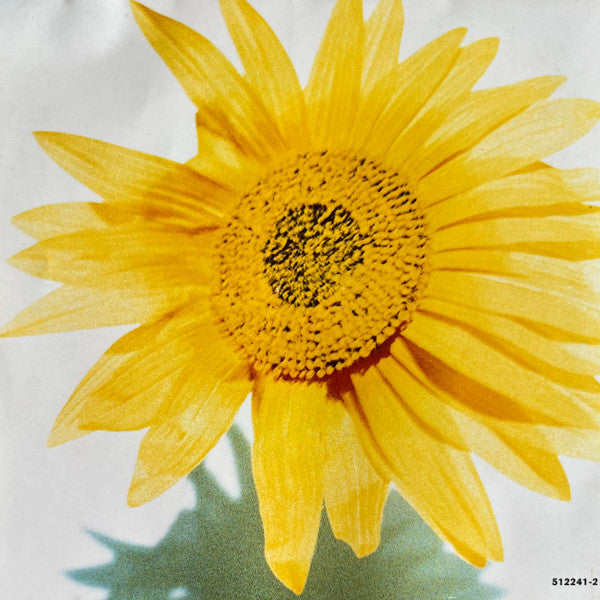 Swing Out Sister : Get In Touch With Yourself (CD, Album)