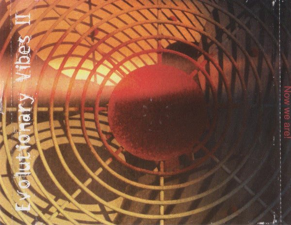 Various : Evolutionary Vibes II: The Evolution Continues (2xCD, Comp)