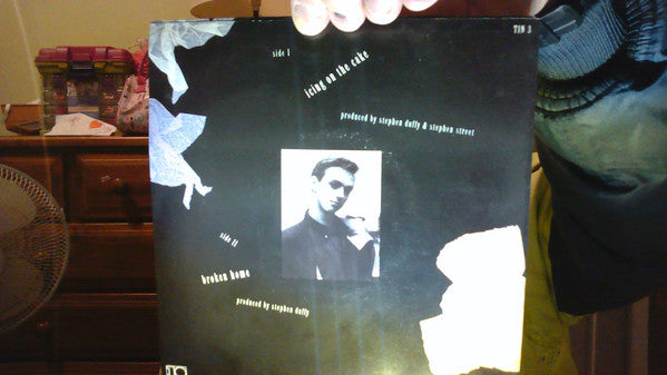 Stephen Duffy : Icing On The Cake (7", Single)