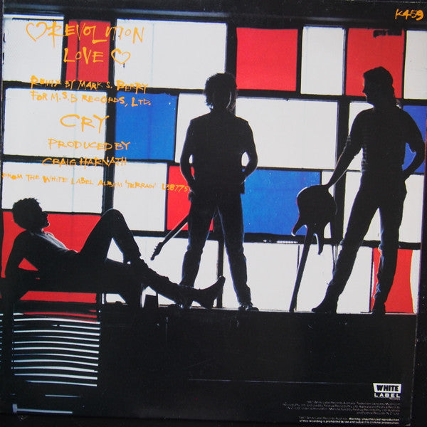 Kids In The Kitchen : Revolution Love (7", Single)