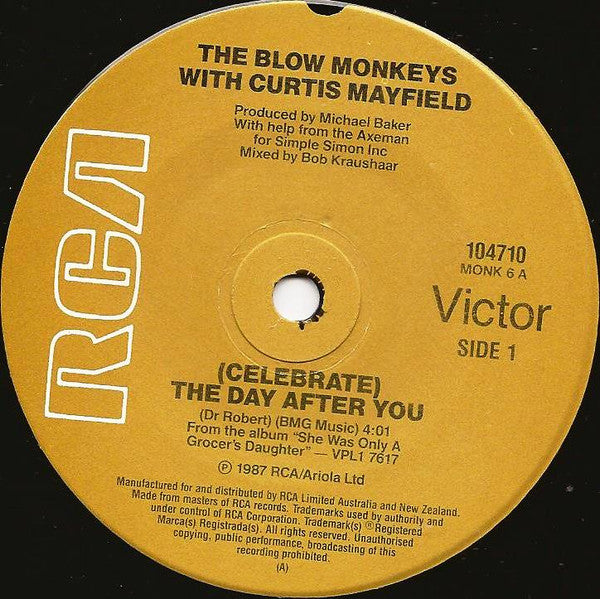 The Blow Monkeys with Curtis Mayfield : (Celebrate) The Day After You (7", Single)