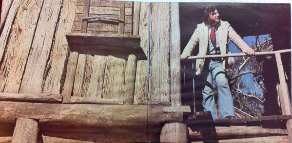 Roger Thwaites : Ladies Love Outlaws (LP, Album, Gat)