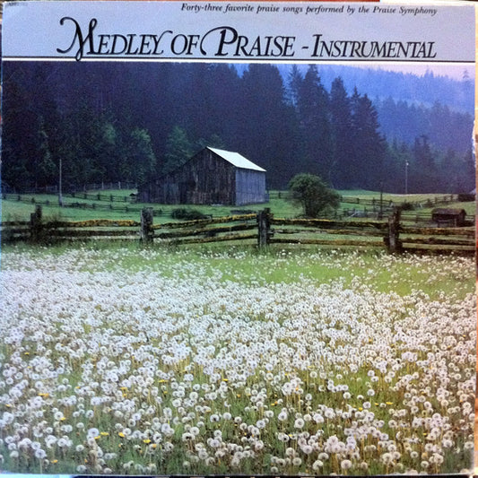 The Praise Symphony : Medley Of Praise (LP)