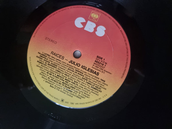Julio Iglesias : Raices (LP)