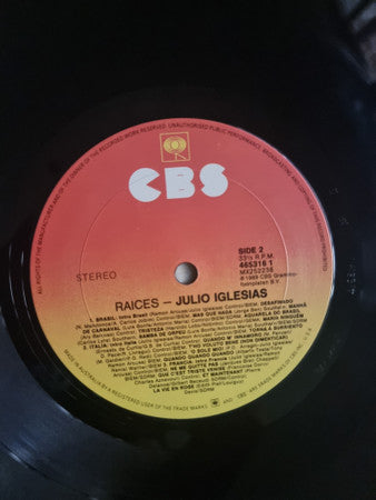 Julio Iglesias : Raices (LP)
