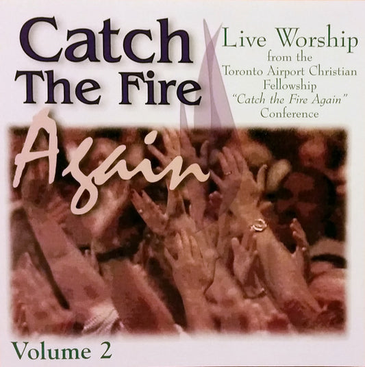 David Ruis, Jeremy Sinnott : Catch The Fire Again, Volume 2 (CD, Album)