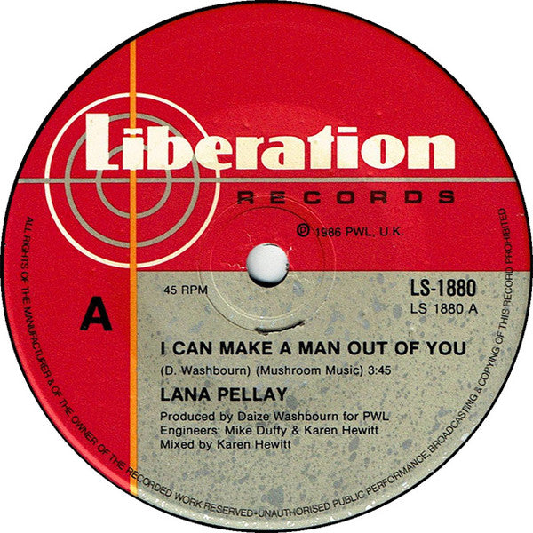 Alan Pillay : I Can Make A Man Out Of You (7", Single)