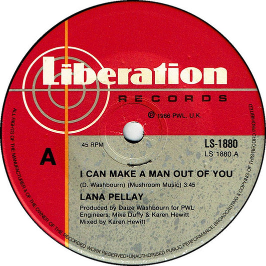 Alan Pillay : I Can Make A Man Out Of You (7", Single)