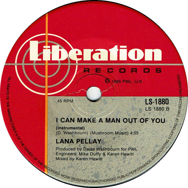 Alan Pillay : I Can Make A Man Out Of You (7", Single)