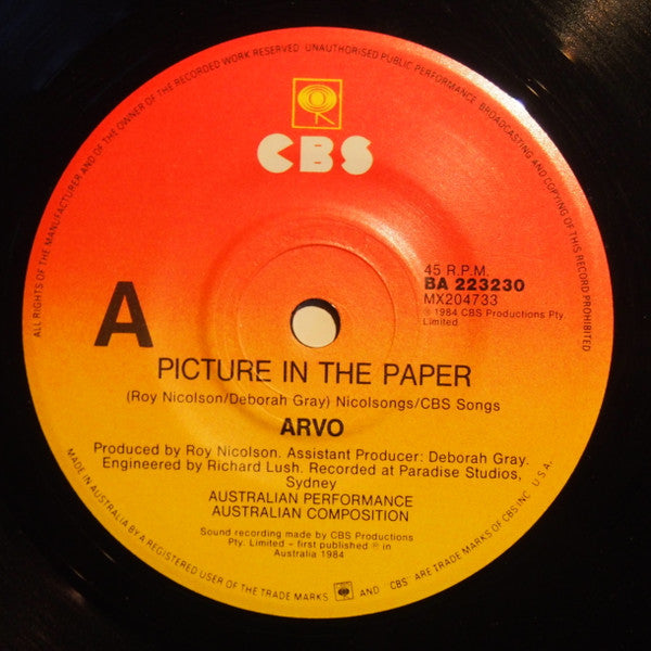 Arvo : Picture In The Paper (7", Single)