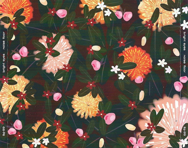 Bright Eyes : Noise Floor (Rarities 1998-2005) (CD, Comp)