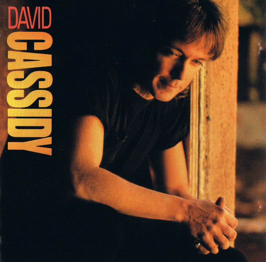 David Cassidy : David Cassidy (CD, Album)