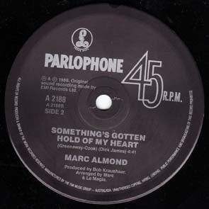 Marc Almond Featuring Special Guest Star Gene Pitney : Something's Gotten Hold Of My Heart (7", Single)