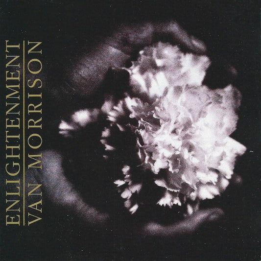 Van Morrison : Enlightenment (CD, Album)