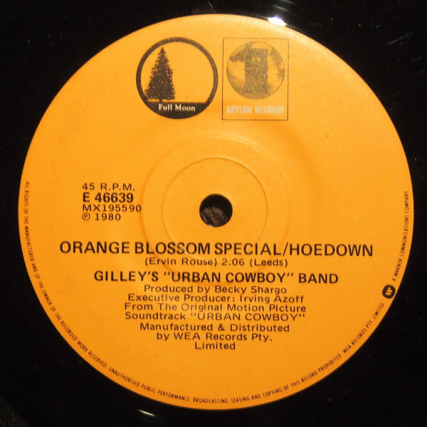 Joe Walsh : All Night Long (7", Single)